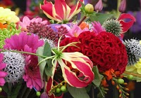 Biddulph Flower Shop 1062636 Image 0
